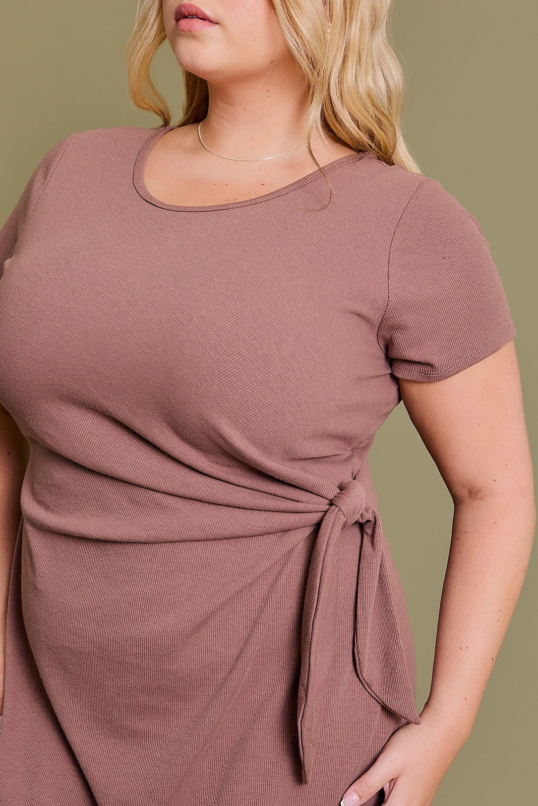 Ashlynn Short Sleeve Waist Tie Dress in Plus