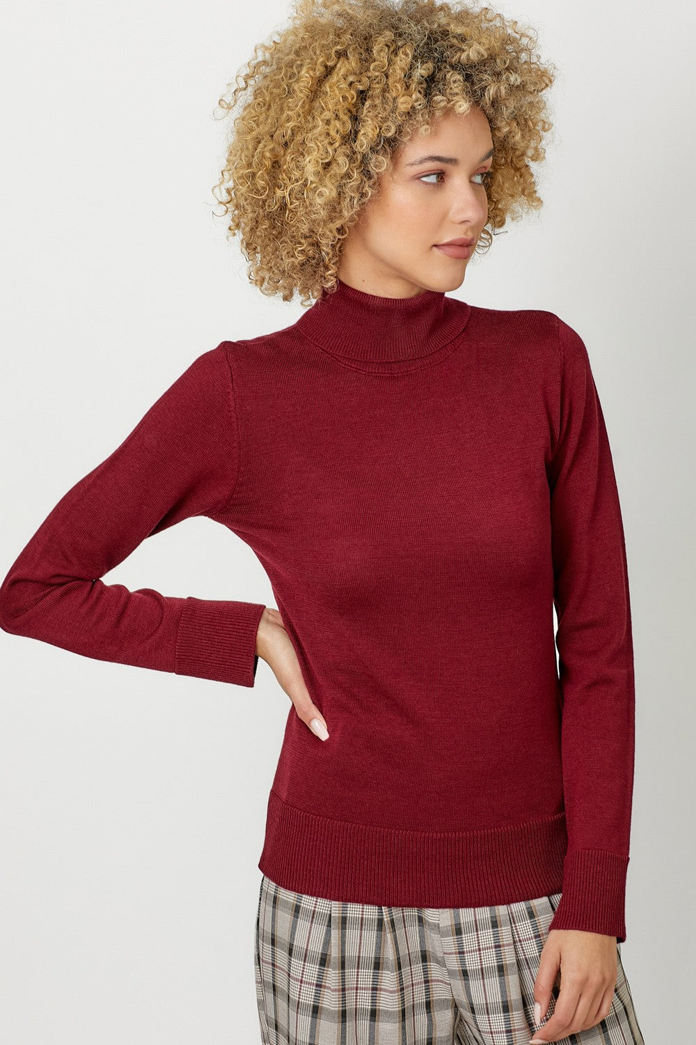Jorie Cashmere Turtle Neck Sweater in Burgundy