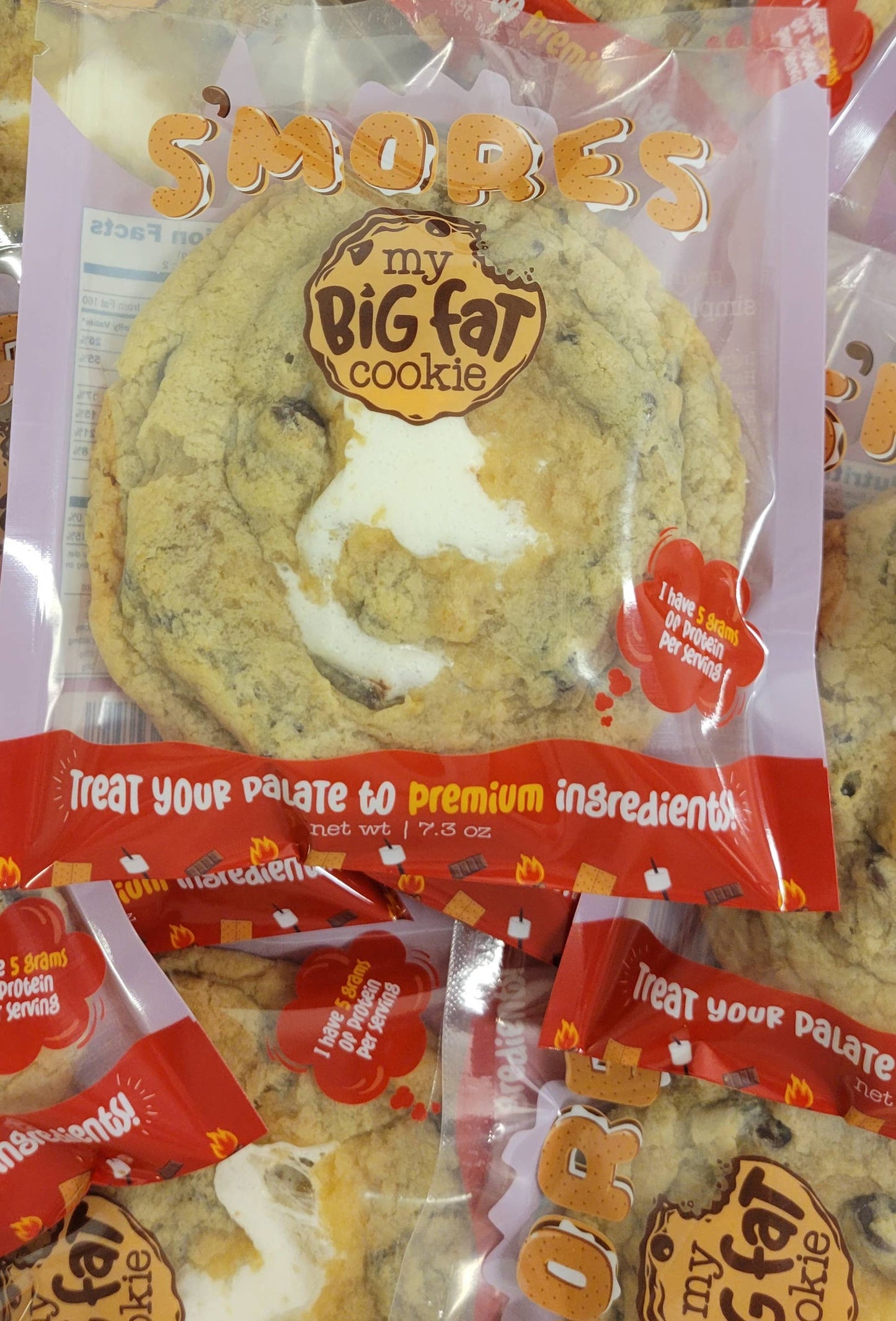 Stuffed S'mores Giant Cookie