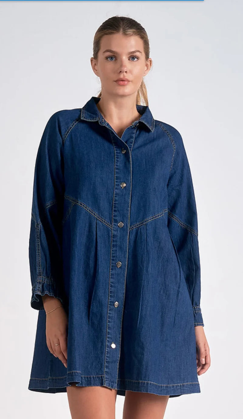 Olivia Long Sleeve Denim Dress