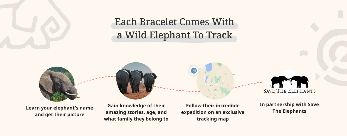 Elephant Bracelet Options Fahlo