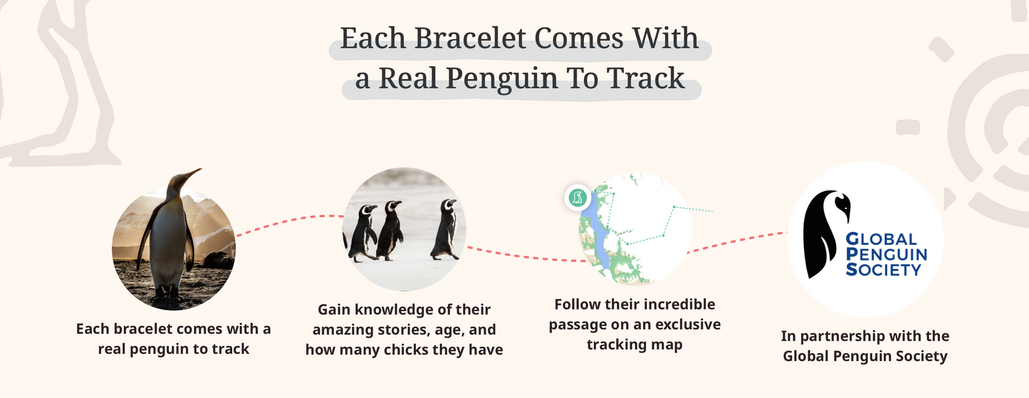 Penguin Bracelet Options Fahlo