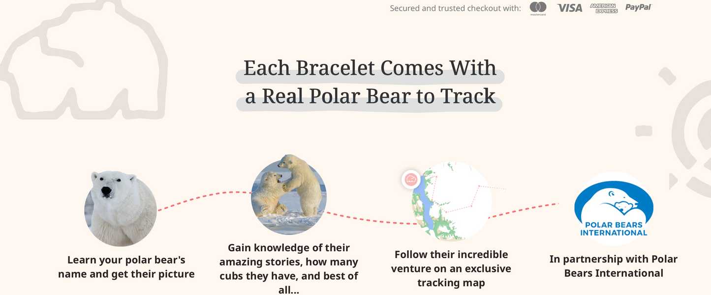 Polar Bear Bracelet Options Fahlo