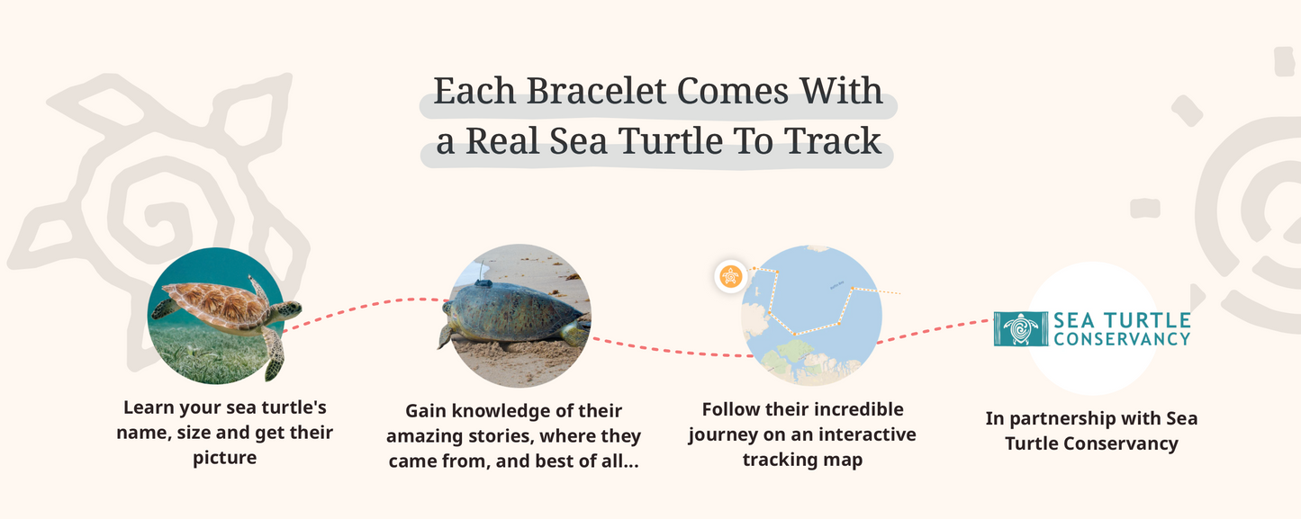 Sea Turtle Bracelet Options Fahlo