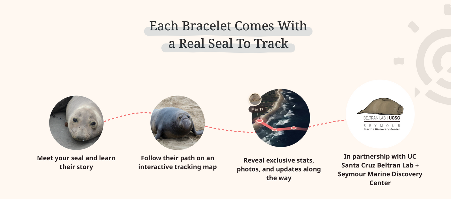 Seal Bracelet Options Fahlo