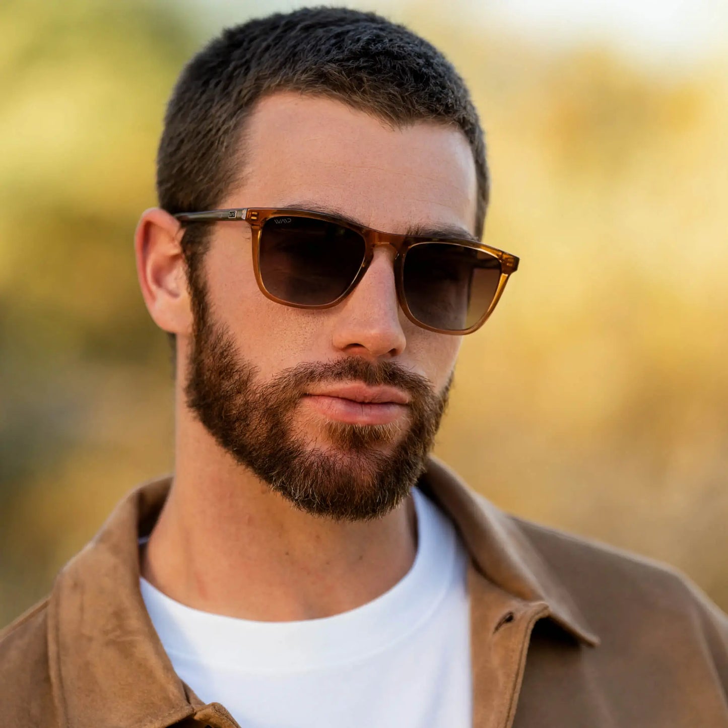 Wesley Polarized Sunglasses