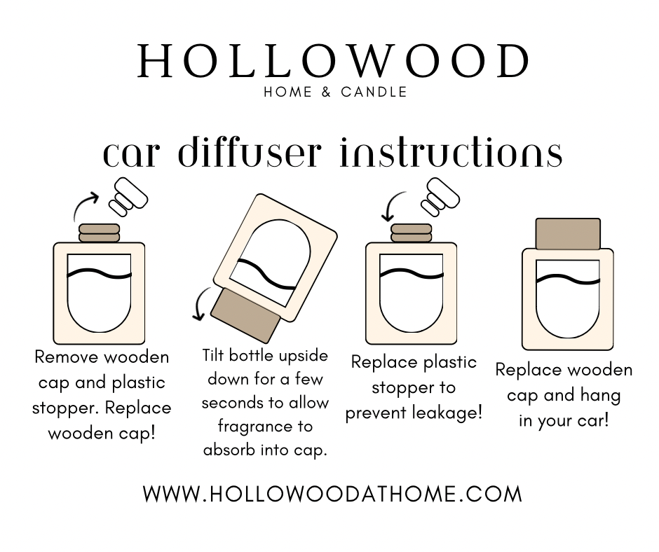 Skip Laundy Day Car Diffuser