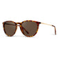Drew Tortoise Frame with Brown Lens Sunglasses