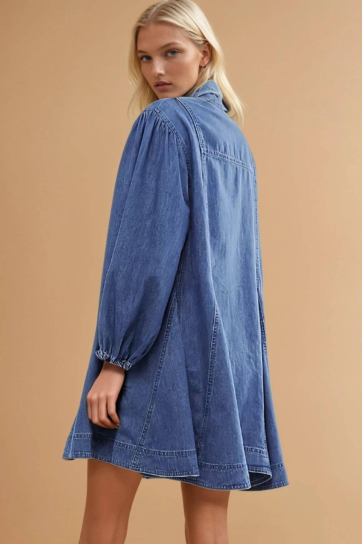 Rachel A-Line Denim Dress
