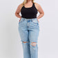 Hollie Rigid Magic Destroy 90's Straight in Plus