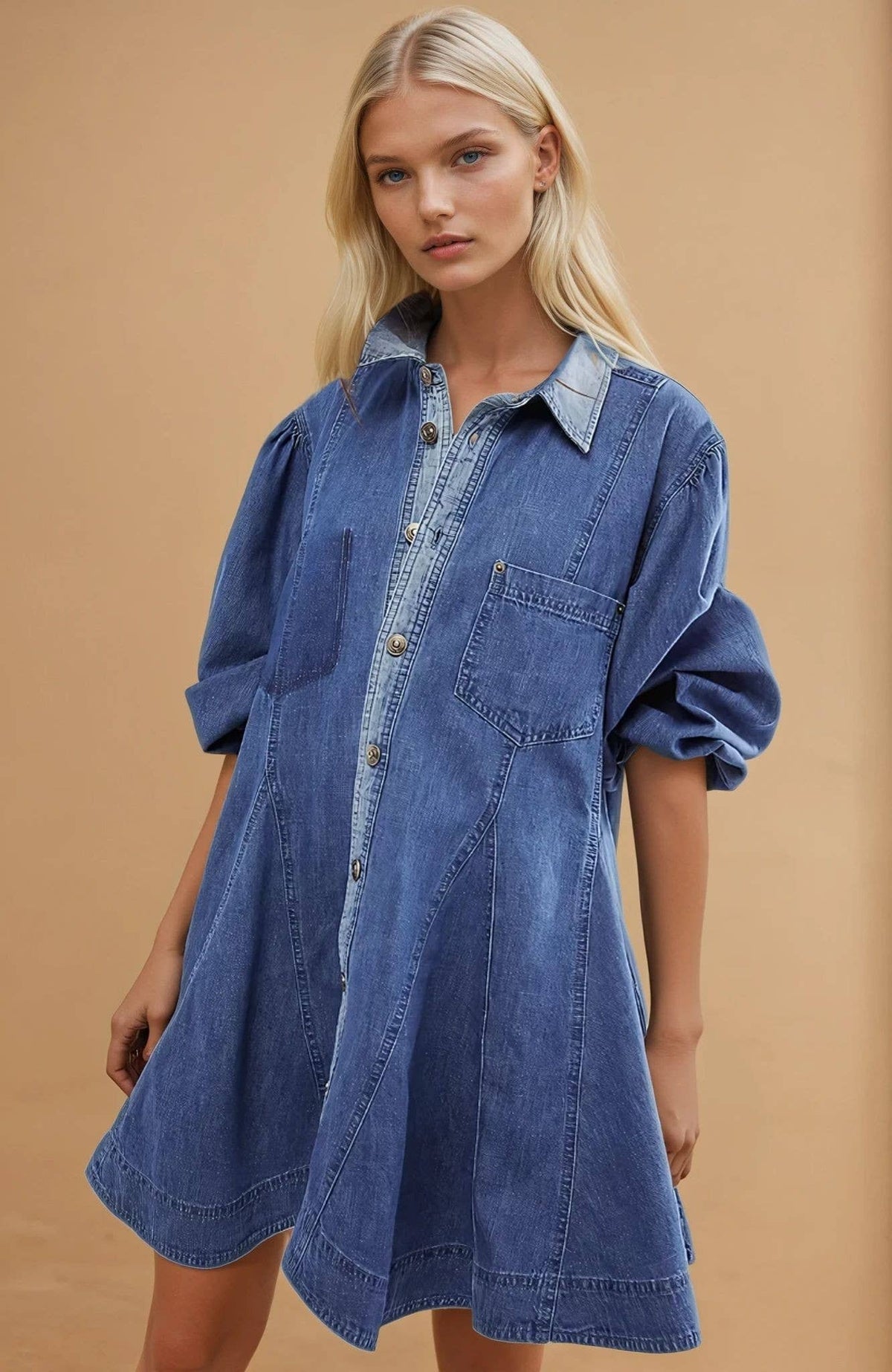 Rachel A-Line Denim Dress