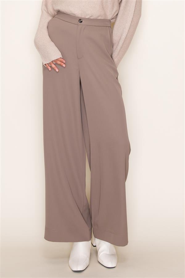 Chloe Dress Pants in Taupe
