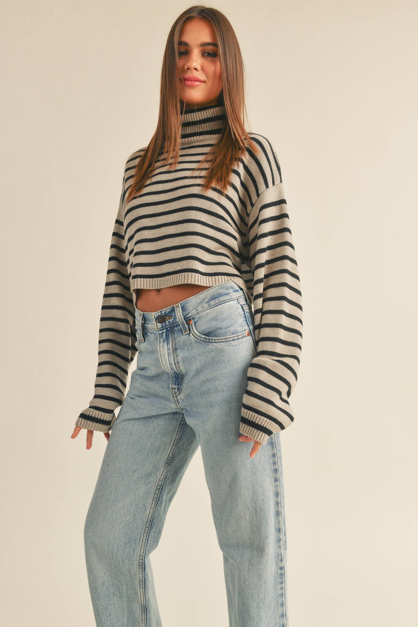 Amber Striped Turtle Neck Crop Sweater in Mocha/Black