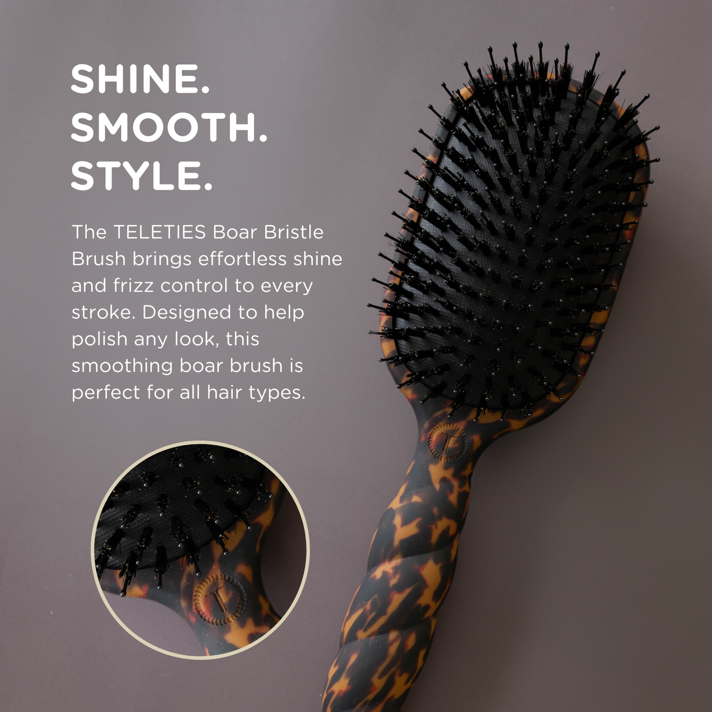 Boar Bristle Hair Brush in Tortoise