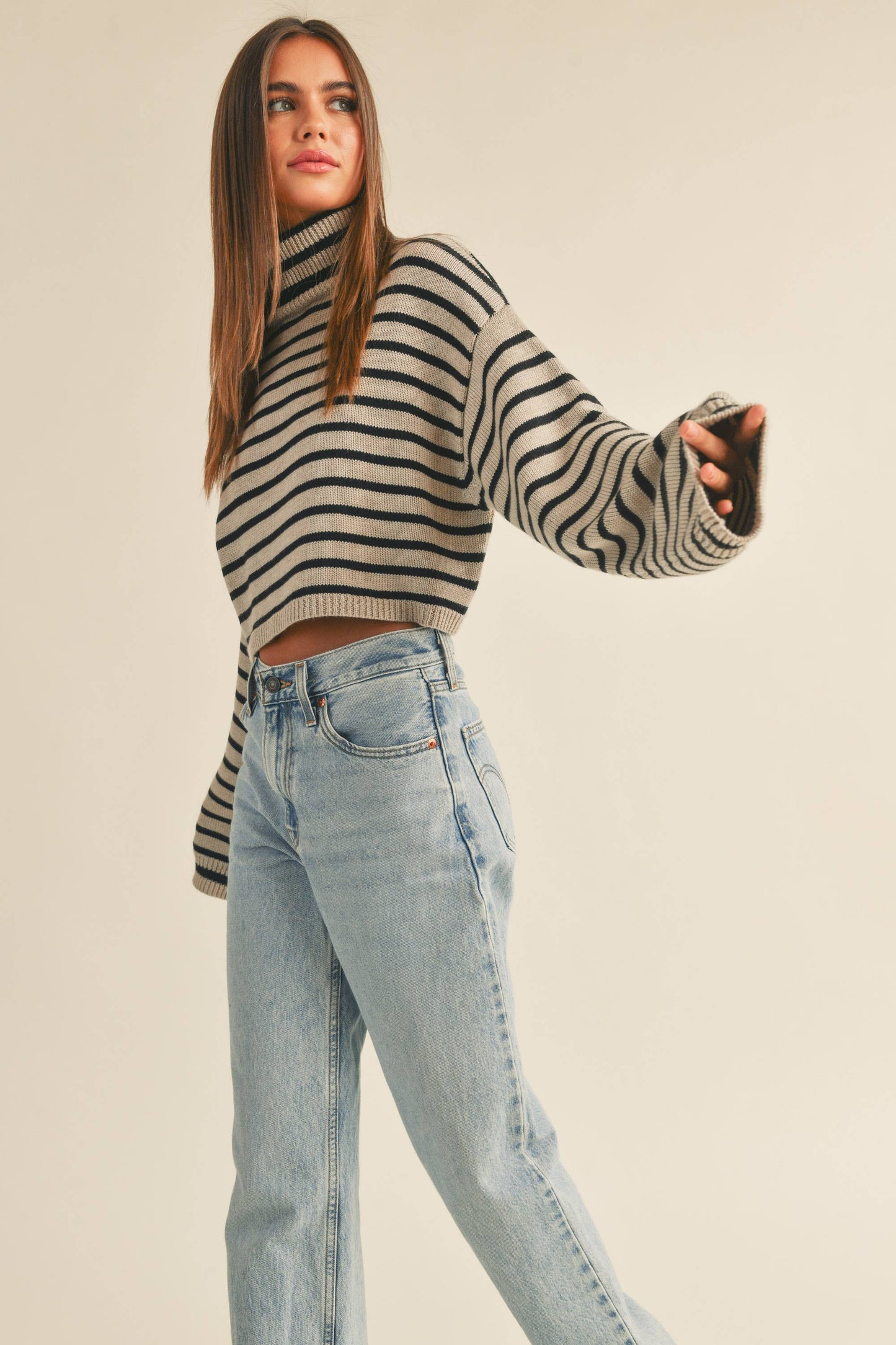 Amber Striped Turtle Neck Crop Sweater in Mocha/Black