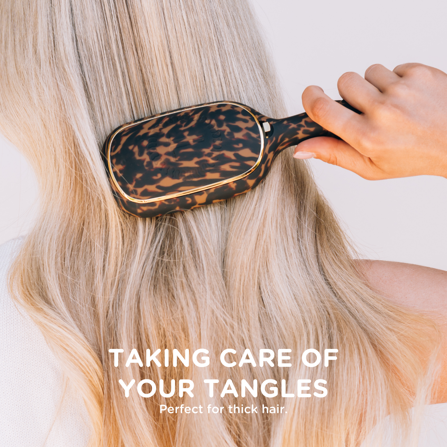Detangler Hair Brush for Thick Hair in Tortoise