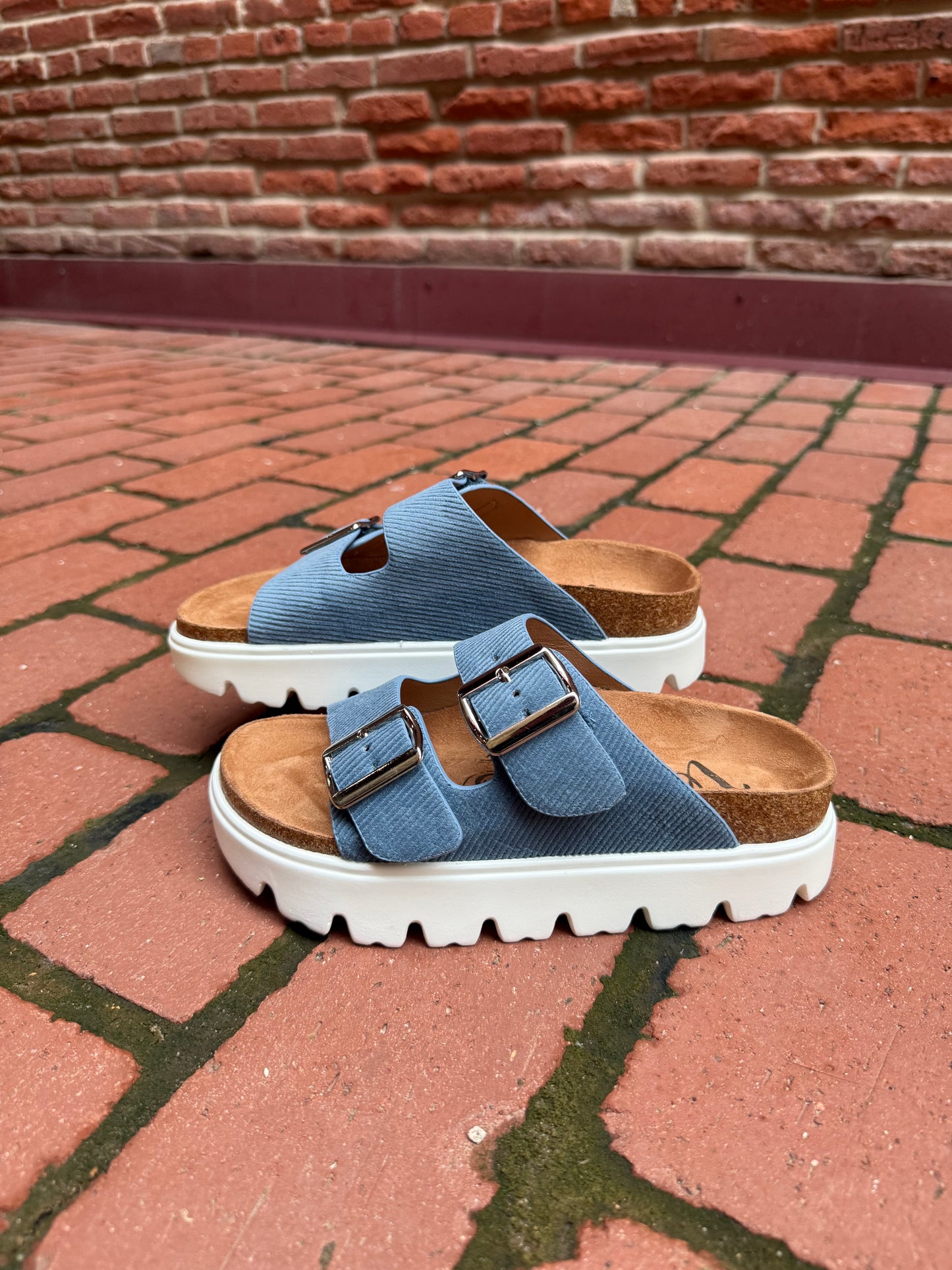 Jazmin Taupe Platform Sandals in Navy