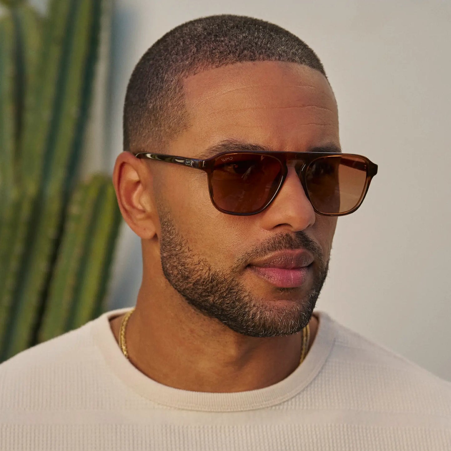 Emerson Terracotta Brown Sunglasses