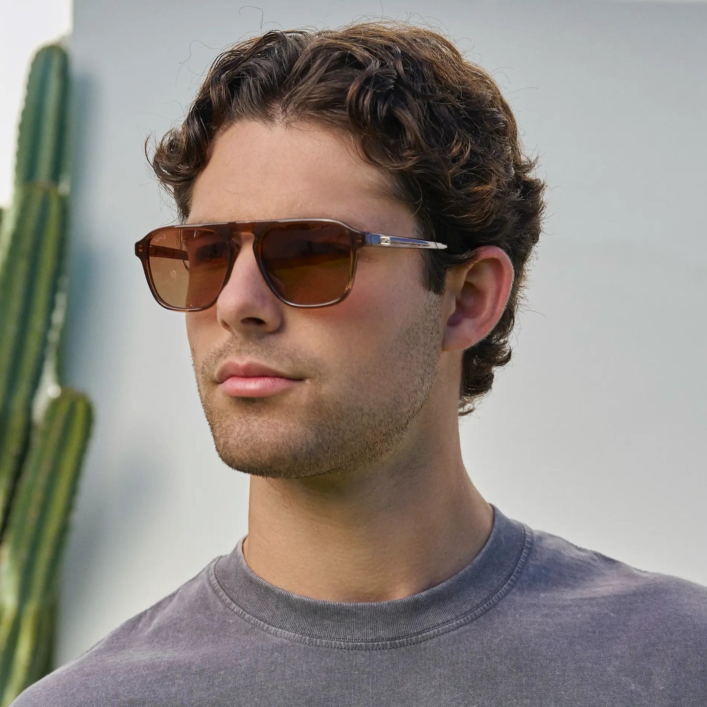 Emerson Terracotta Brown Sunglasses