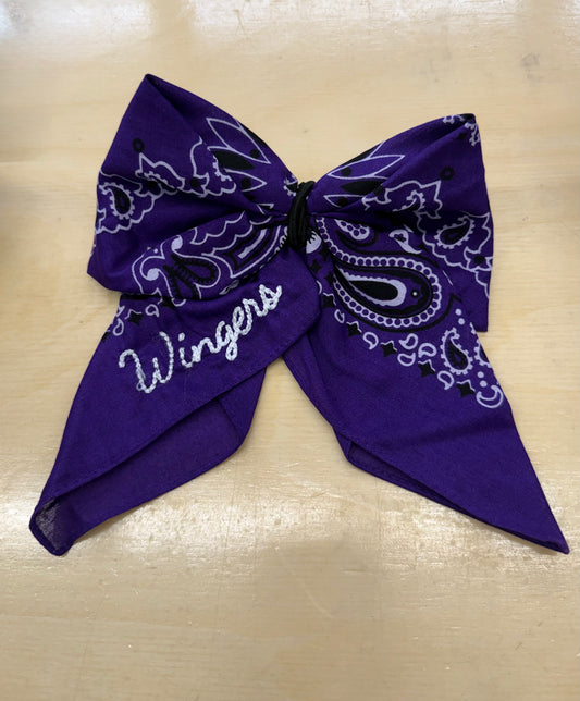 Embroidered School Spirit Wingers in Purple