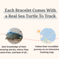 Sea Turtle Bracelet Options Fahlo