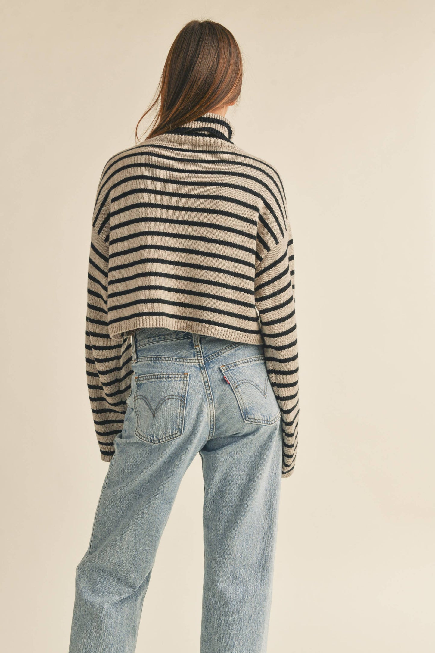 Amber Striped Turtle Neck Crop Sweater in Mocha/Black
