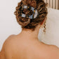 Round Flat Hair Clip Large in Tortoise