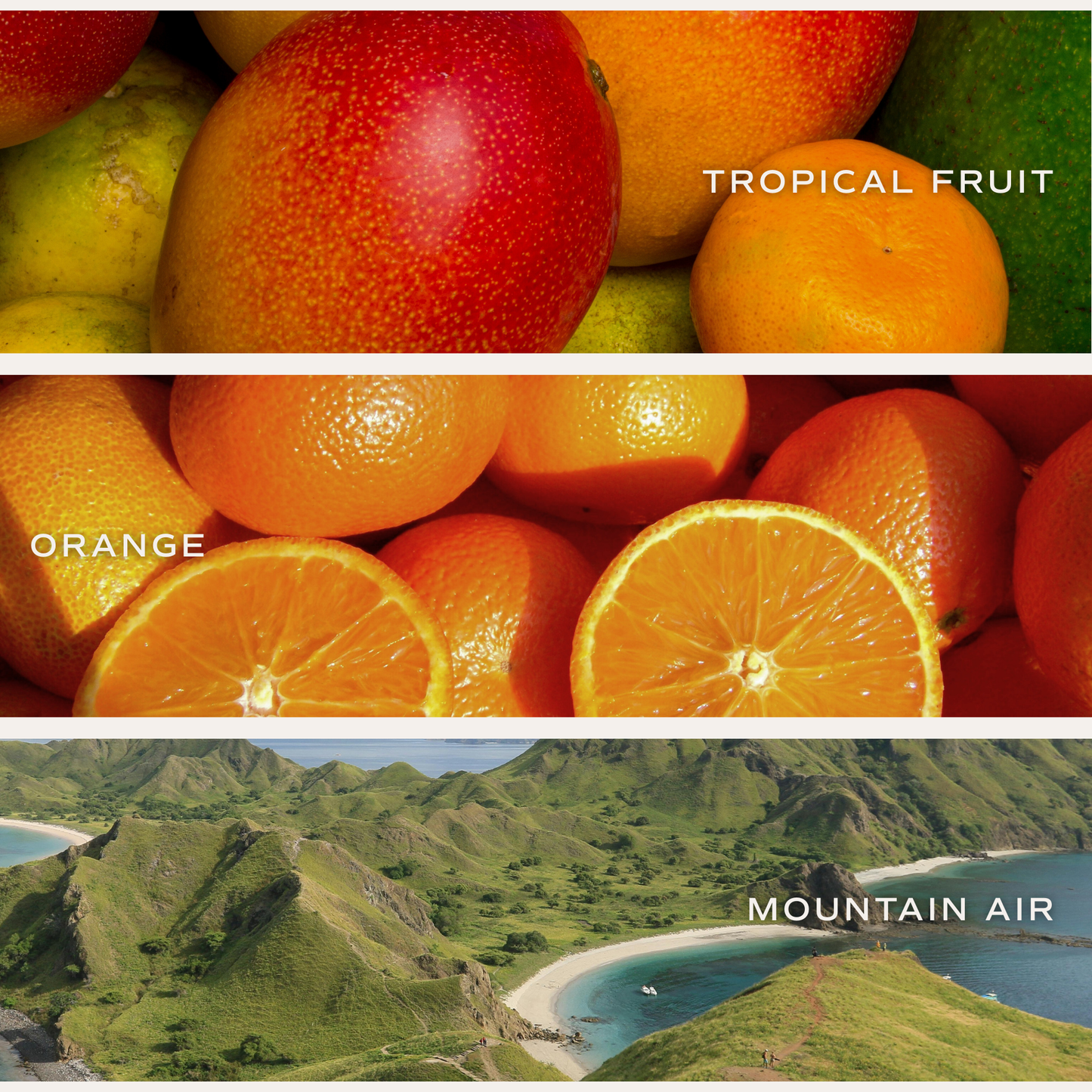 OMG! You're Engaged Candle