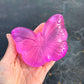 Super Duper Sugar Squisher Butterfly Toy Top Trenz
