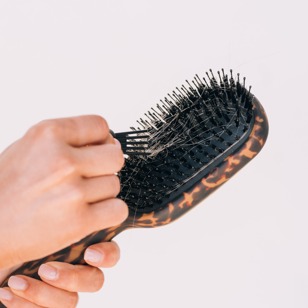 Boar Bristle Hair Brush in Tortoise